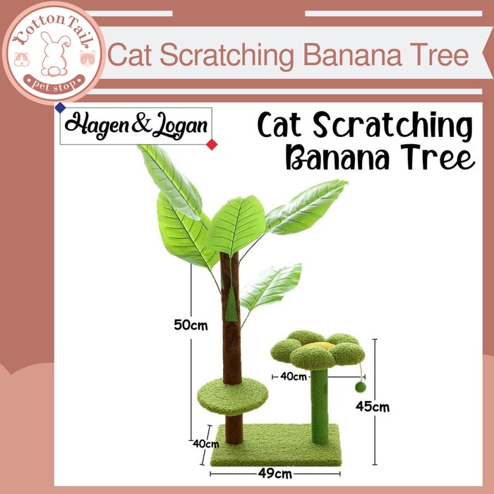 Cat Scratching Banana Tree / Garukan Kucing Pohon Pisang