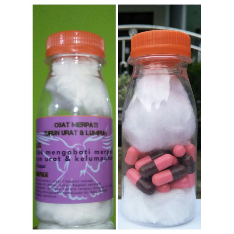 Merpati turun urat & lumpuh