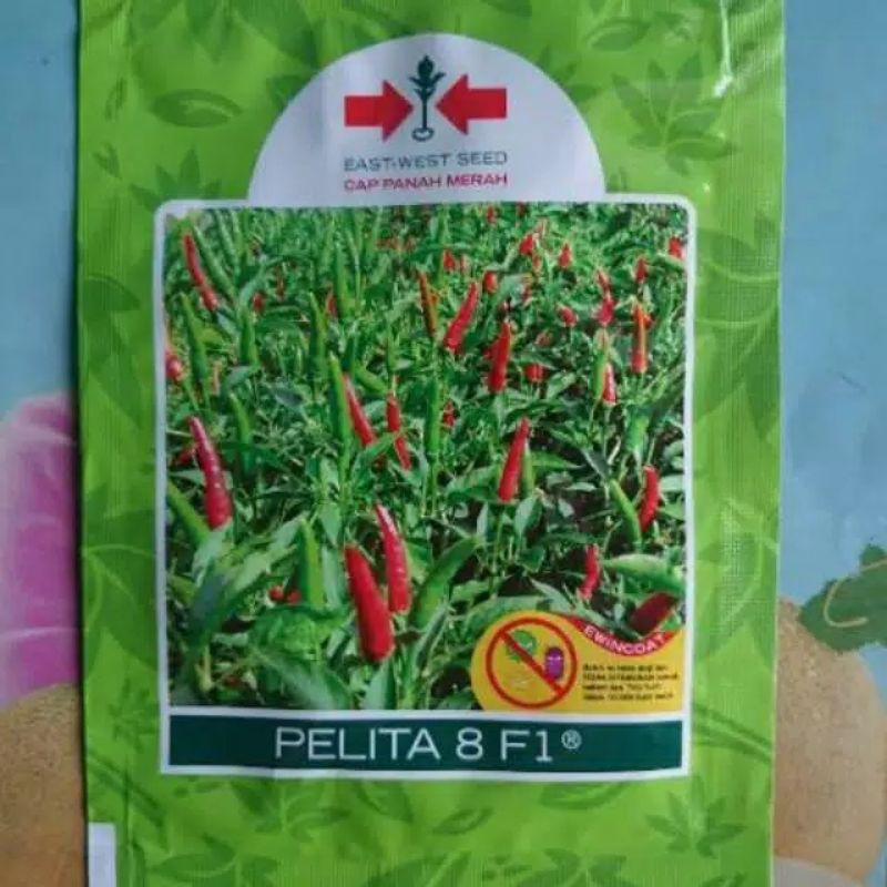 Benih Biji Bibit Cabe Rawit Hijau PELITA 8 F1 isi  2.250 bj