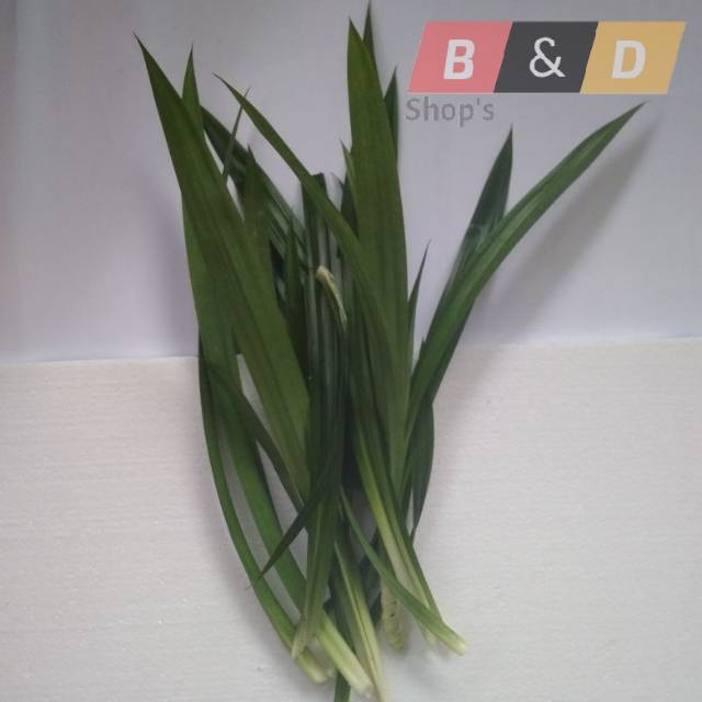 

Daun Pandan Segar Organik.