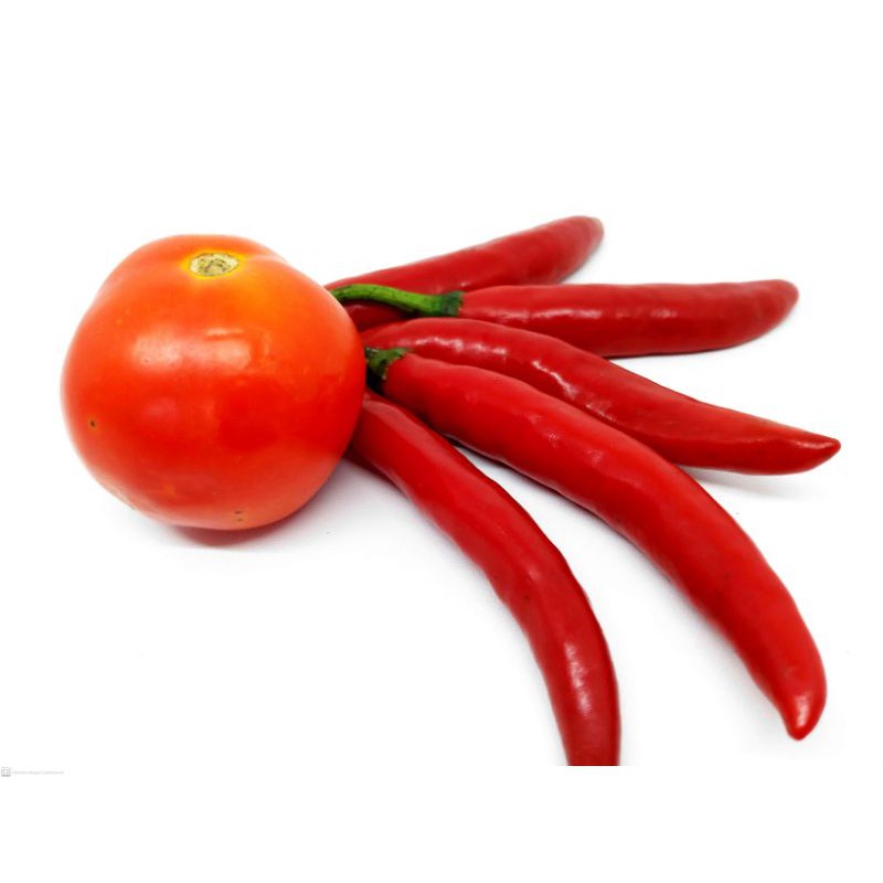

Cabe Tomat