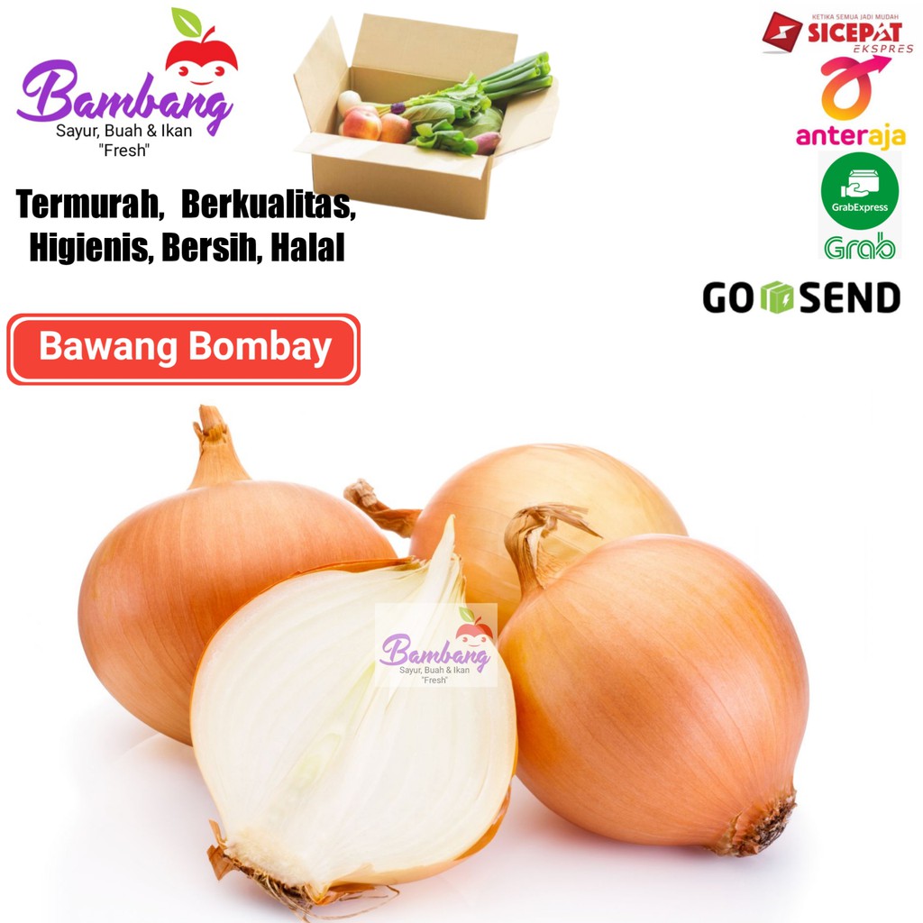 

bawang bombai bawang bombay sayur segar 1kg
