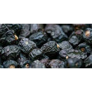 

kurma ajwa premium murah original