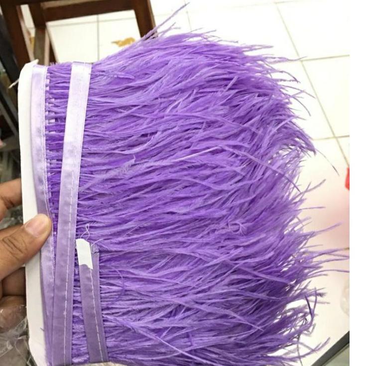 Paling Diminati BULU OSTRICH PANJANG