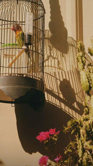 Sprei/seprei/sprey/seprey Katun Jepang Merah