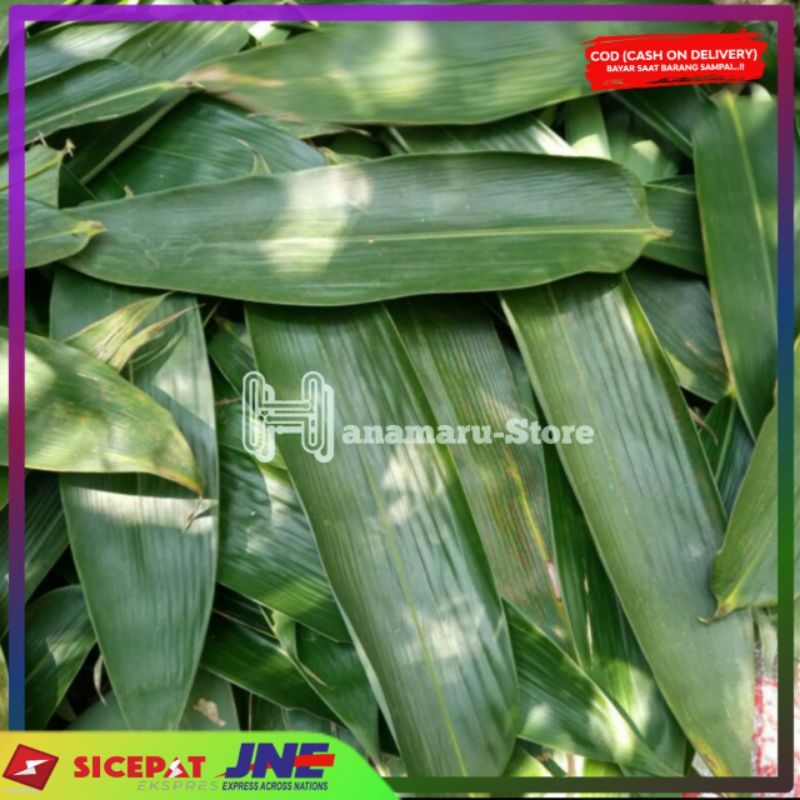 

200 Lembar daun bambu bungkus bakcang