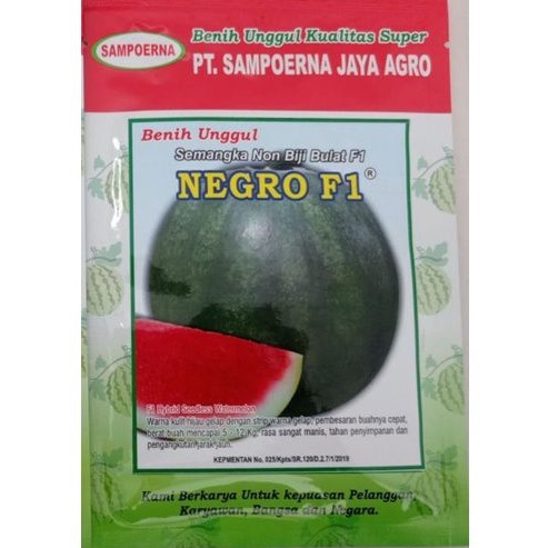 BENIH SEMANGKA NON BIJI NEGRO F1