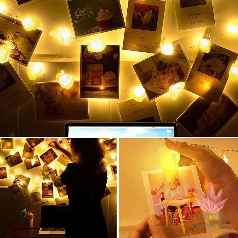 Lampu Batu Kristal Garam Himalaya Himalayan Rock Salt LED Lamp DIY