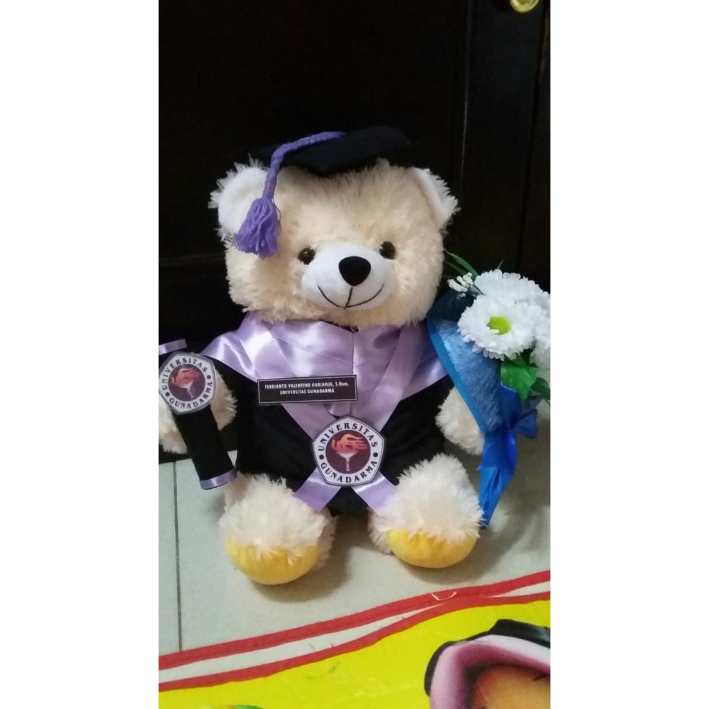 Boneka Lucu Boneka Wisuda Teddy Bear 27 Cm Bucket Bunga Kado