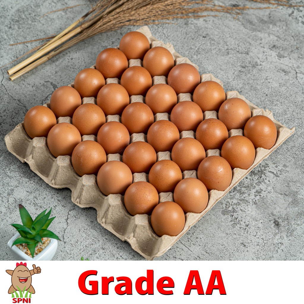 Telur Ayam SPNI Super Jumbo (Grade AA 30 Butir) Sortiran Mesin