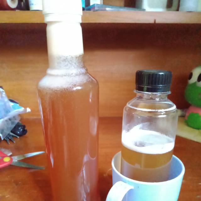 

Madu lebah apis cerana dan kelulut, linot, lanseng, klanceng
