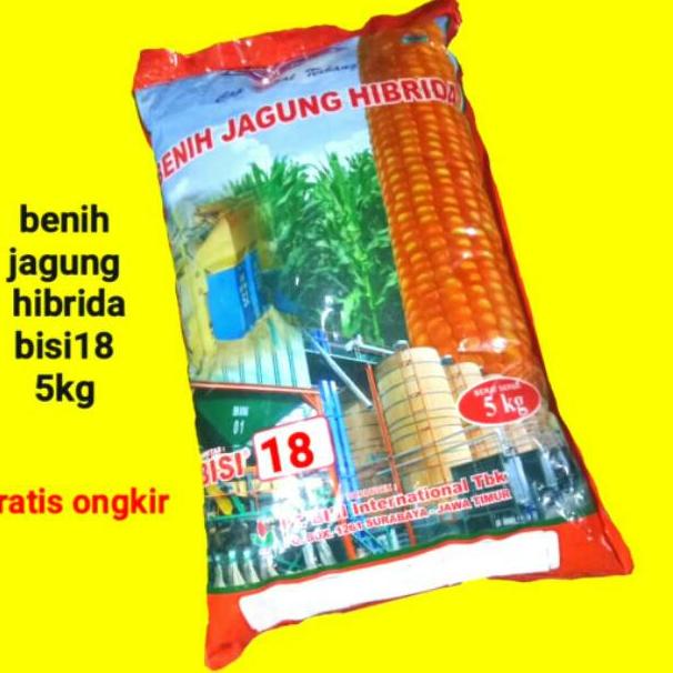 (B-INE} (☀} Benih Jagung bisi 18 Hibrida Bisi18 kemasan 5kg (berkualitas}