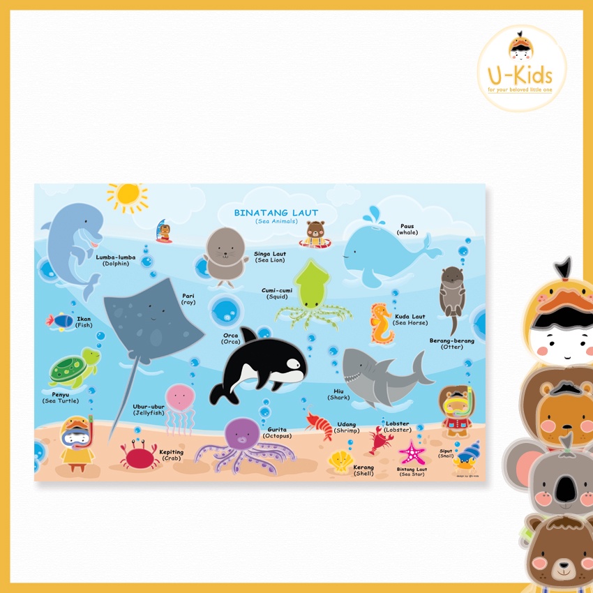 

Poster Edukasi Anak Belajar Mengenal Hewan Laut Desain Lucu Terbaru Kekinian