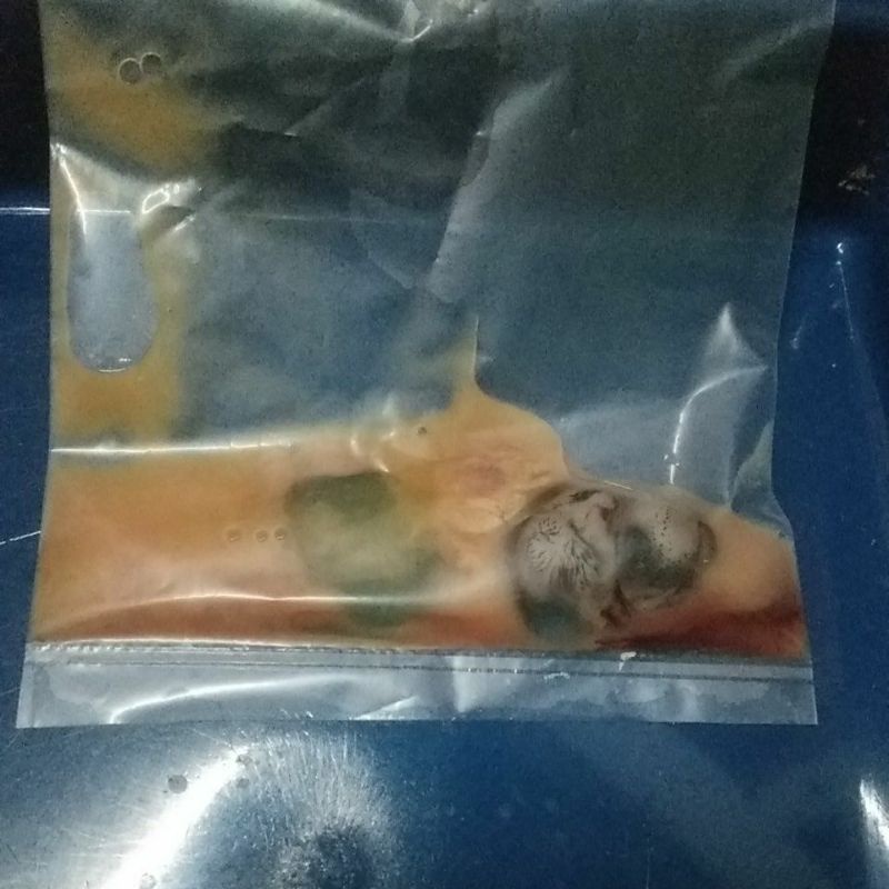 

tapui / Bayi tabung umpan pancing