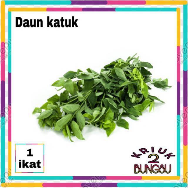 

Sayur daun katuk