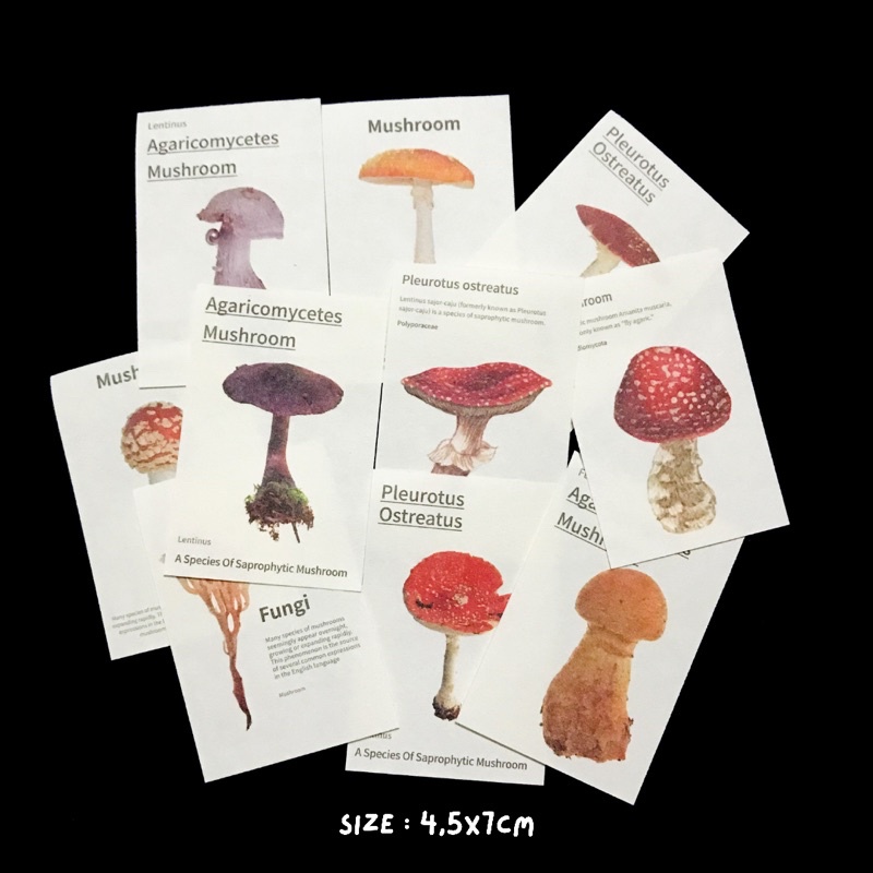 [PART 3] Vintage Flake Perintilan Journal Vintage Kertas Memo Aesthetic Deco Journal Scarpbook-Fungi Non