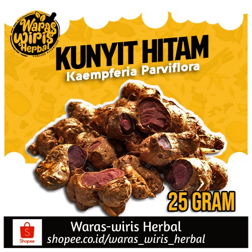 

Rimpang Kunyit Hitam 25 Gram ( Kaempferia Parviflora )