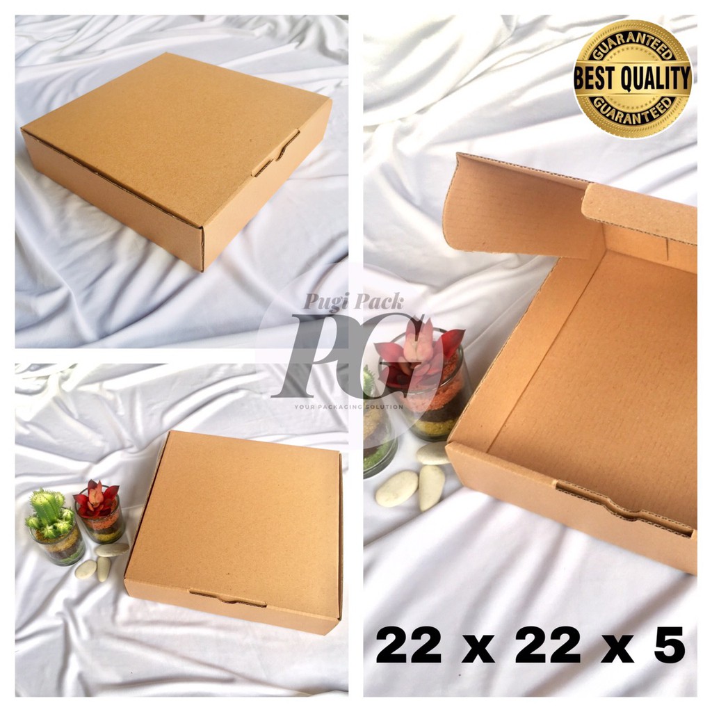 

KARDUS BOX POLOS MODEL PIZZA 22x22x5