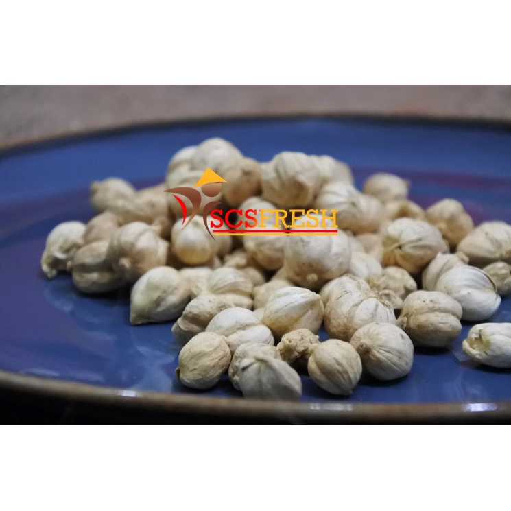 

Kapulaga 20 Gram