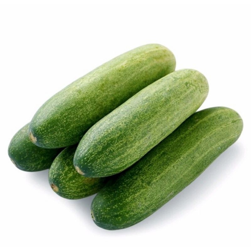 

timun/mentimun segar 1 kg fresh