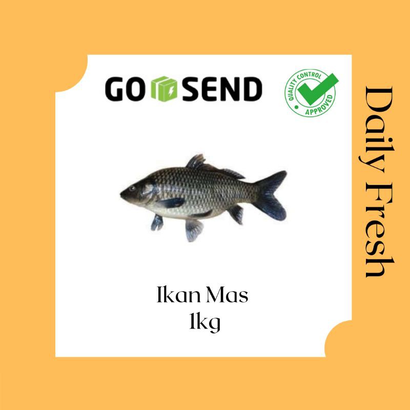 

ikan Segar - Ikan Mas Segar - Ikan Fresh - Ikan Murah