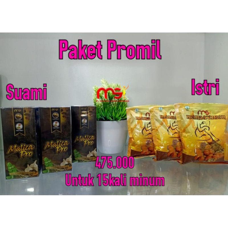 paket promil MSI Manjavikan & Malica pro