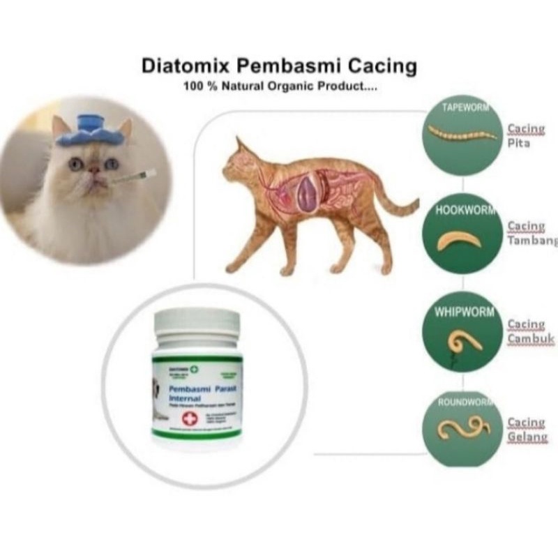 DIATOMAX OBAT CACING 100gr- OBAT CACING SERBUK KUCING ANJING