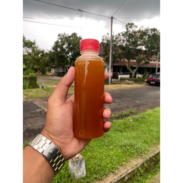 

Madu asli dari atambua NTT