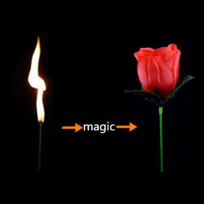 Alat Mainan Sulap Magic Trick Bunga Api Mawar Kertas
