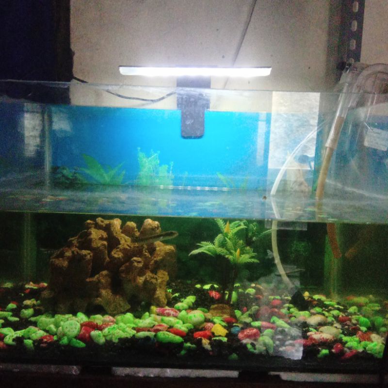 Jual Lampu Aquarium T Usb Custom Handmade | Shopee Indonesia