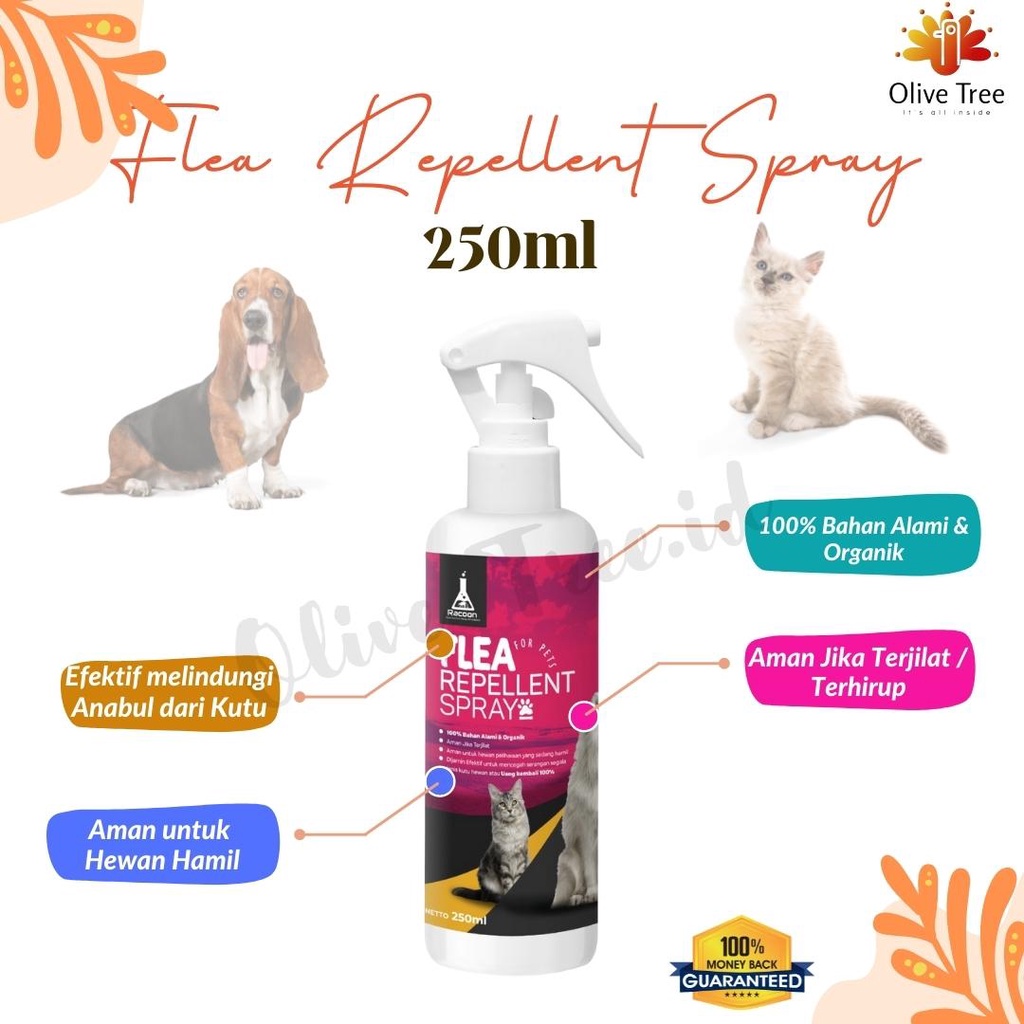 Flea Repellent Spray Obat Anti Kutu Hewan Anjing &amp; Kucing Anabul Alami 250ml Racoon Spray Pencegah Kutu Binatang