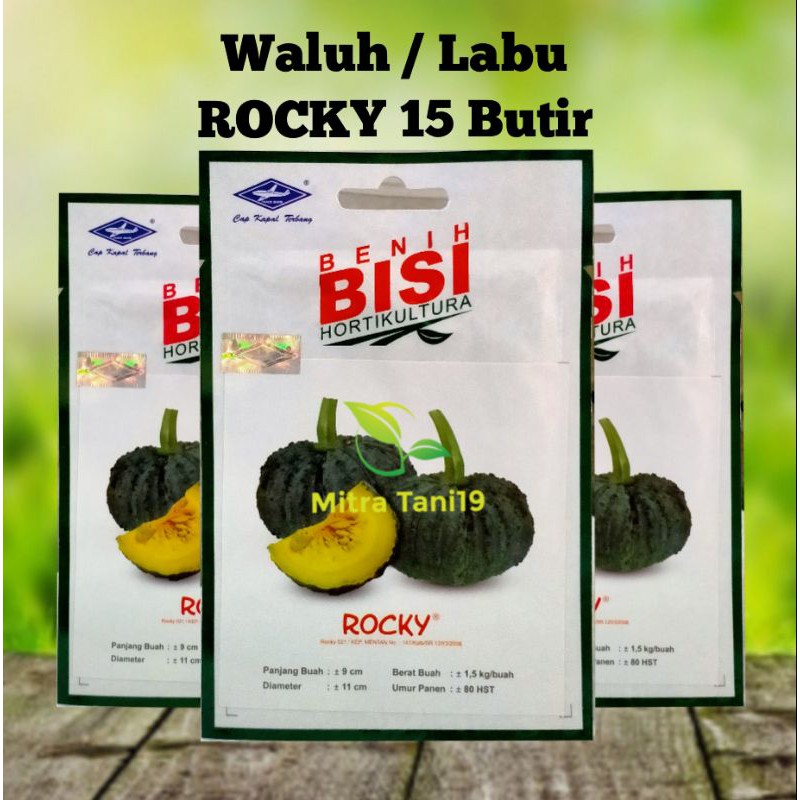 BENIH BIBIT TANAMAN 0ERTANIAN SAYUR BUAH HIDROPONIK WALUH LABU KUNING ROCKY HG CAP KAPAL TERBANG