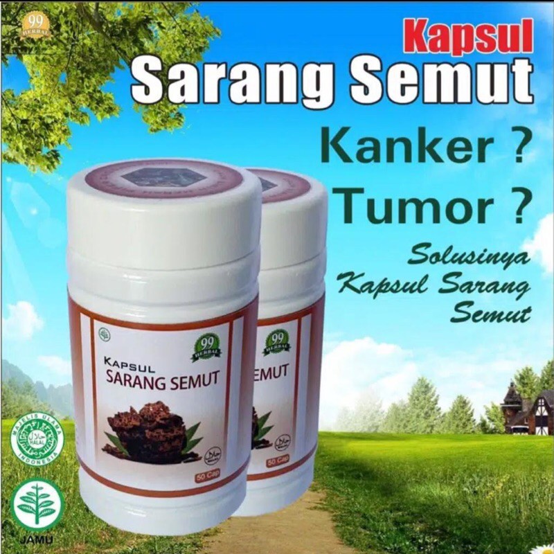 Sarang semut | Kapsul Sarang semut Pure 100%| Kapsul sarang semut herbal 99