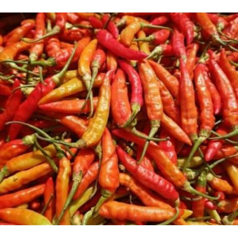 

Cabe Rawit 1KG