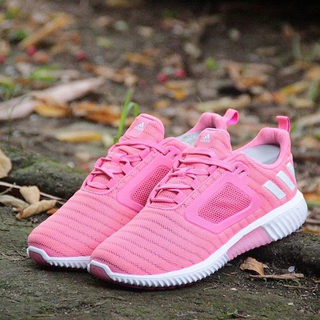 adidas climacool pink