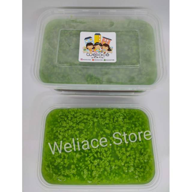 

Pudding Lumut Coklat (Medium)