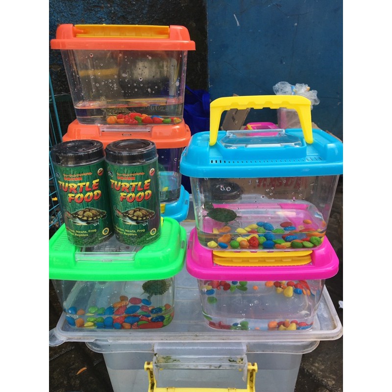 kura brazil + box + makanan