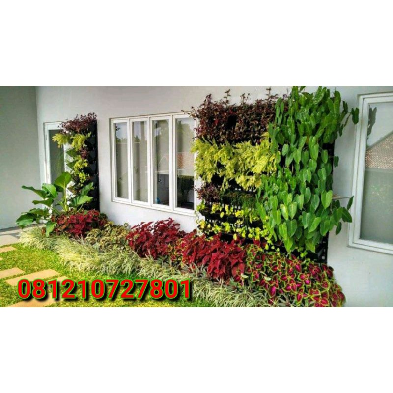 jasa pembuatan taman VERTICAL garden / pembuatan taman vertikal garden