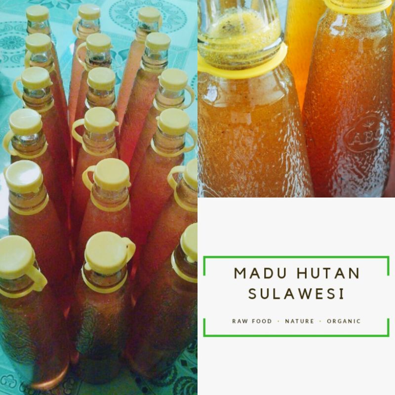 

Madu Hutan Sulawesi Asli dan Murni