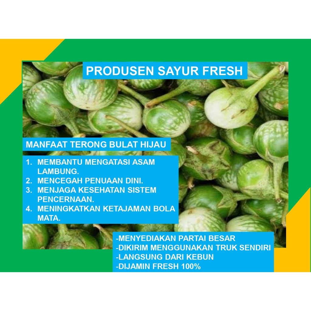 

Terong Bulat Hijau Fresh Untuk Lalap Dll Langsung Dari Petani