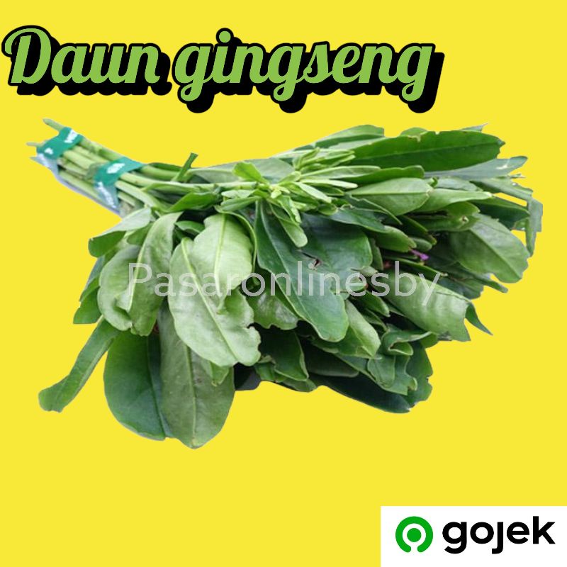 

PASAR GUBENG - Sayur - Daun Gingseng - per ikat besar