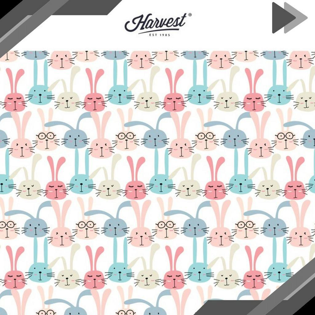 

NEWPRODUCT Kertas Kado Baby New Born Harvest Baby Land Bunnies