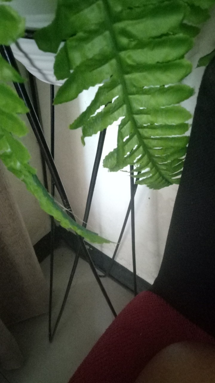 Standing Pot Besi 70cm Diameter 18cm / Rak Bunga Besi / Standing Planter