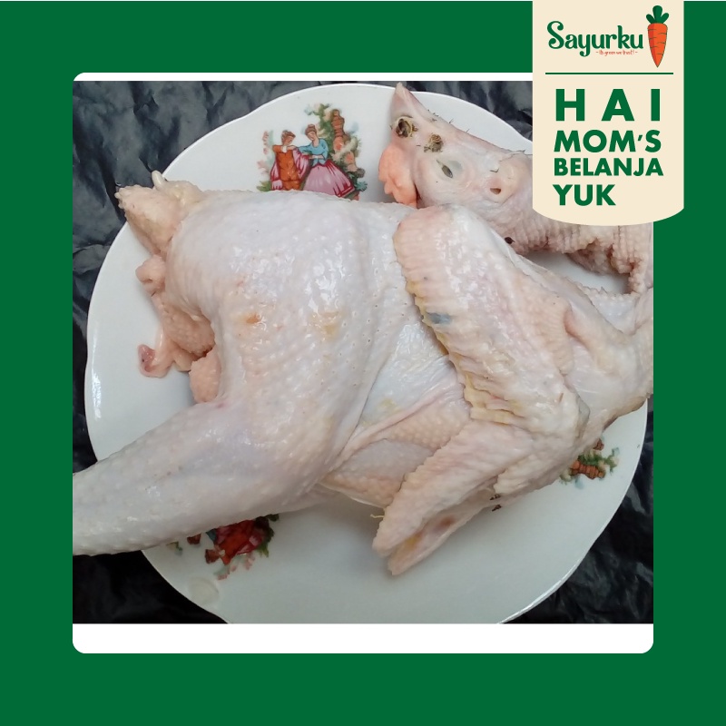 

Ayam Merah per ekor