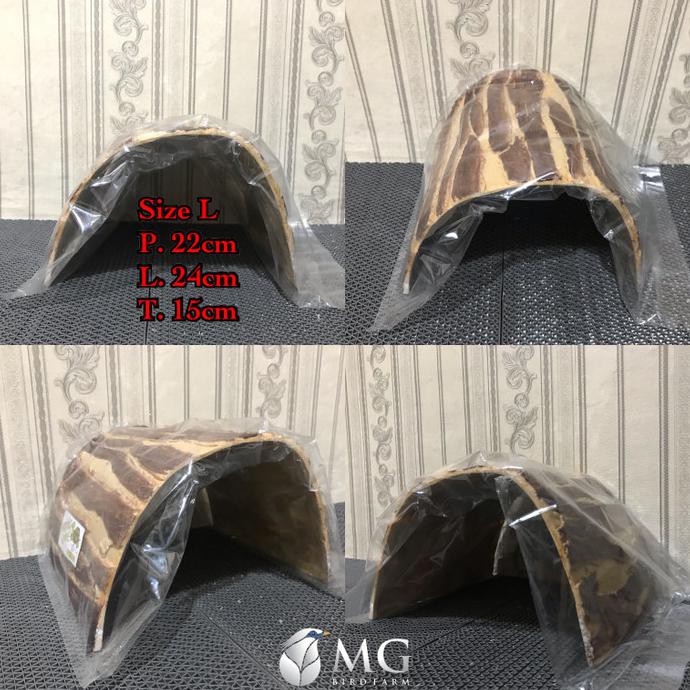 ( BISA COD ) Hidding Cave / rumah kura darat sulcata, aldabra, radiata, indian star