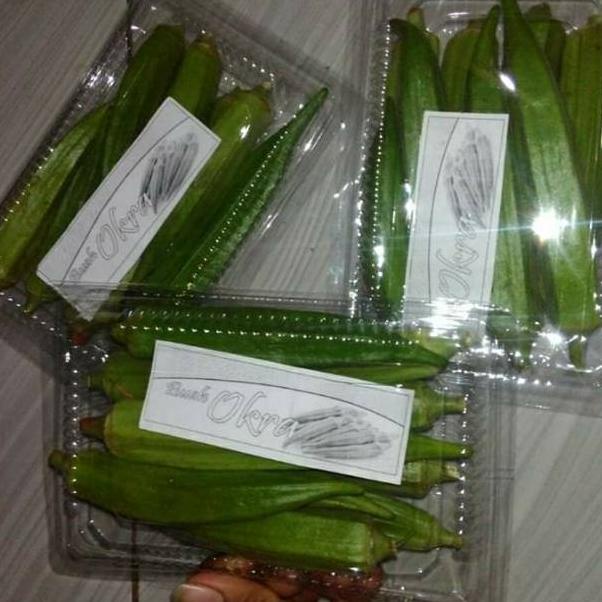 

Buah okra hijau segar •➩ Stok Banyak ̿¯