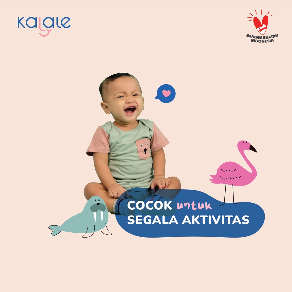Kalale Raglan Tshirt 0-12 Bulan Baju Kaos Anak Bayi Laki Laki Perempuan Basic Polos-2
