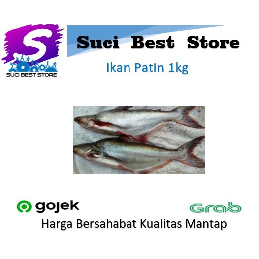 

Ikan Patin Fresh 1kg Promo Bandung By Suci Best Store