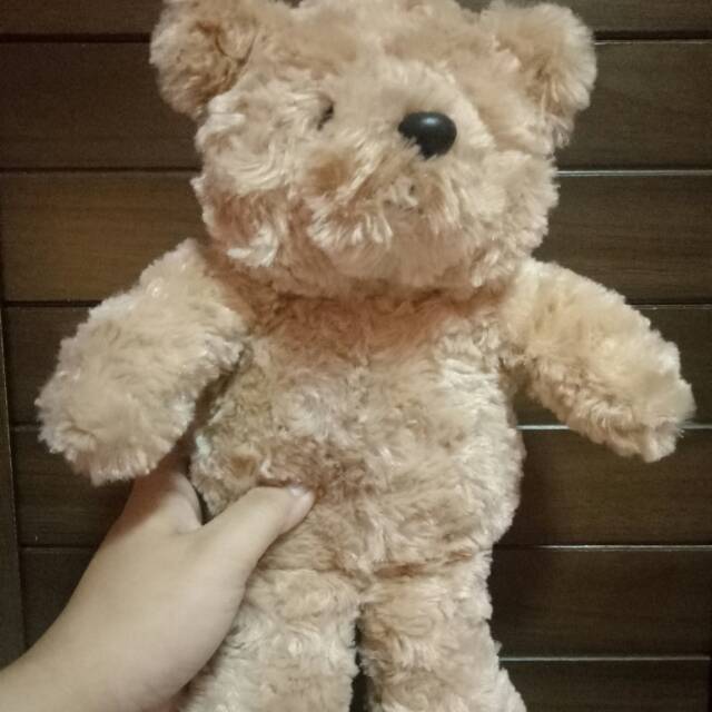 Preloved Teddy Bear Teddy House