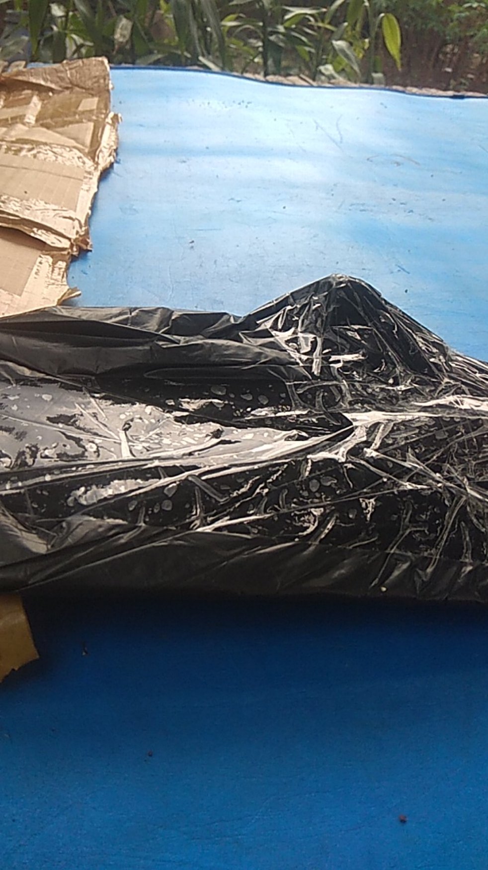 Refil Wifer Pel Lantai / Dorongan Air Karet Lantai 1 Pcs